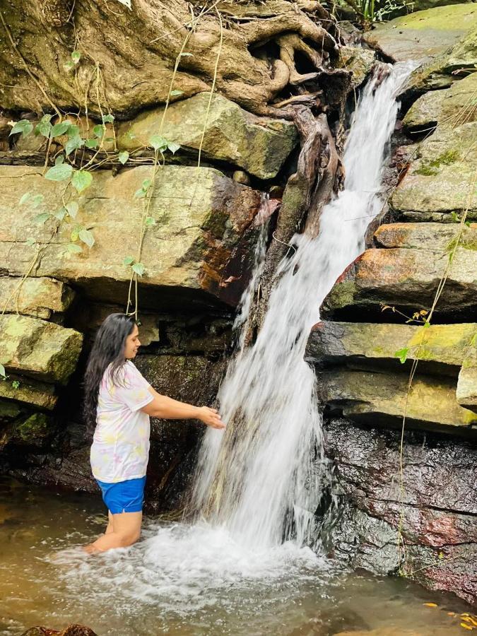 Eco Lodge Meemure & Adventure Park Mimure Luaran gambar