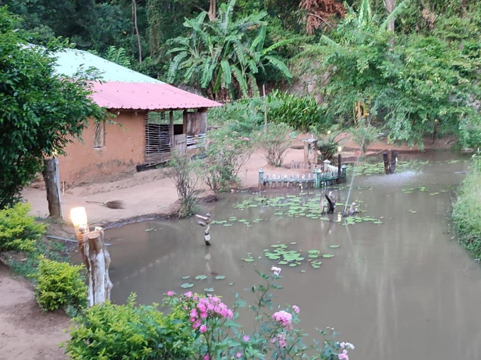 Eco Lodge Meemure & Adventure Park Mimure Luaran gambar